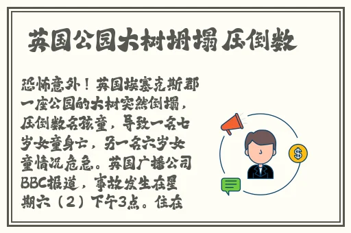 Free性丰满69性欧美